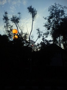 DSC03023